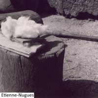 Cardage du coton avec peignes à carder