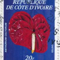 Parcourir le fichier (221).jpg