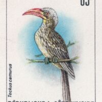 T628-629.jpg