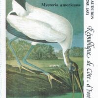 Parcourir le fichier (156).jpg